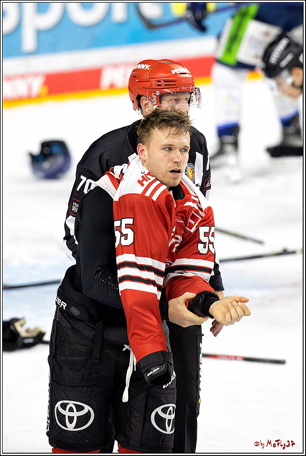 PENNY DEL;  Kölner Haie - Straubing Tigers; Köln, 09.10.2022